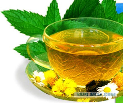 Плюсомет со шпалометом