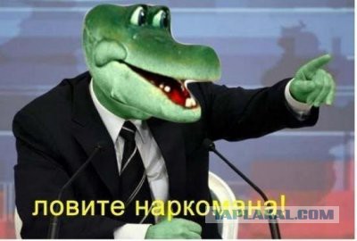 Вышла на охоту