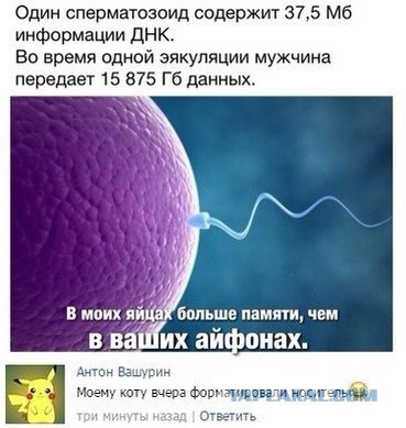 Смешные комментарии