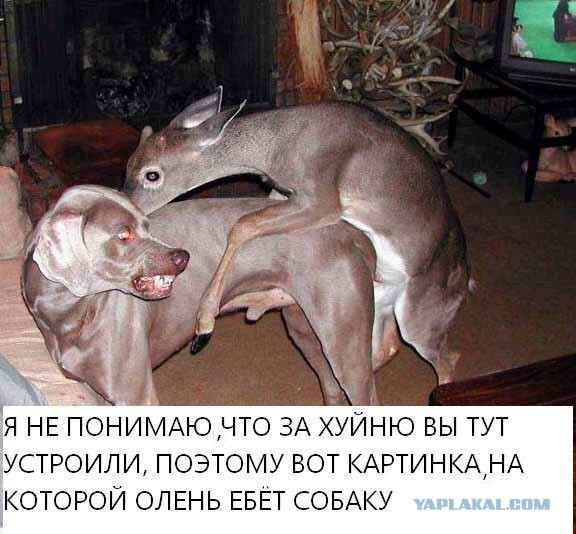 Что тут, черт возьми, происходит?!