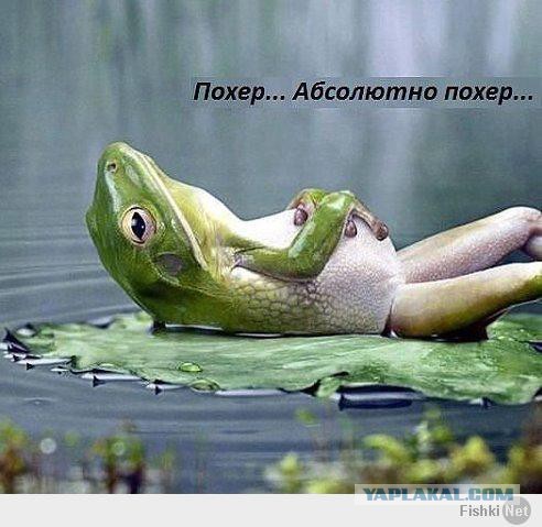 Кличко брошен серьезный вызов