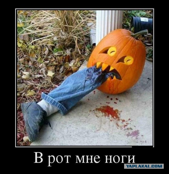 Повезло