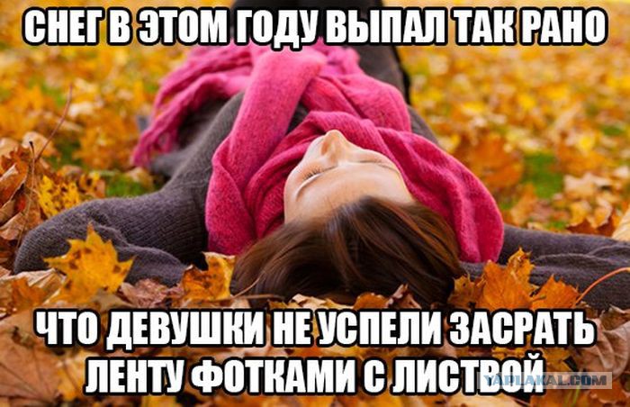 Извинения перед отцом. Смешные открытки. Разнообразия до безобразия. Смешные статусы про спать. Прости меня папа картинки.