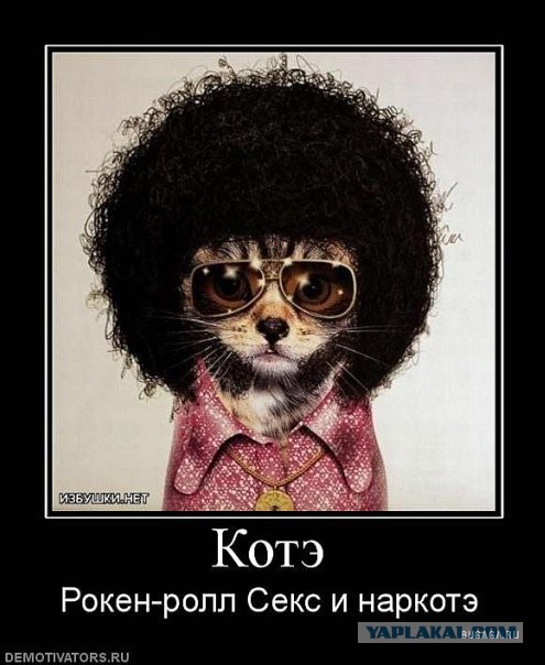 Картинки и демотиваторы