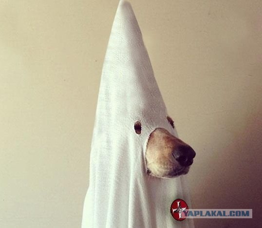 Разные картинки из сети