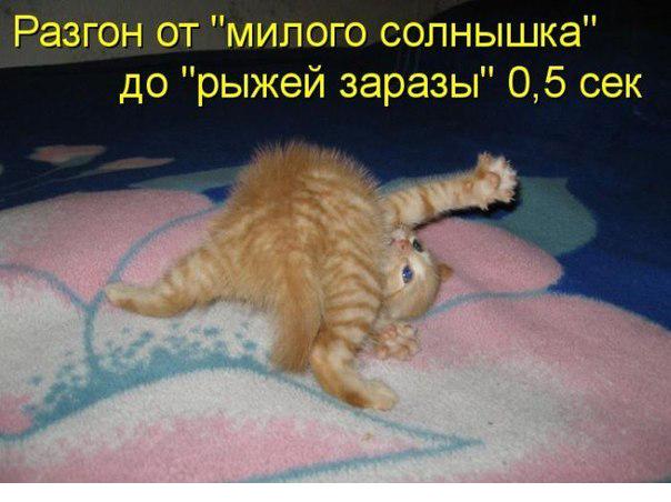 Картинки и демотиваторы