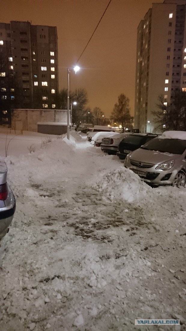 Люди познаются...после снегопада.