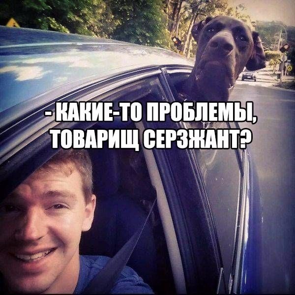 Подборка Картинок из сети