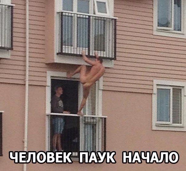 Подборка картинок из сети