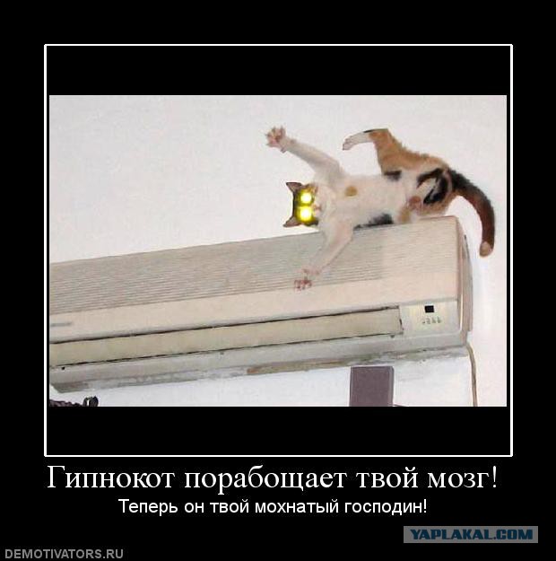 Демотиваторов пост