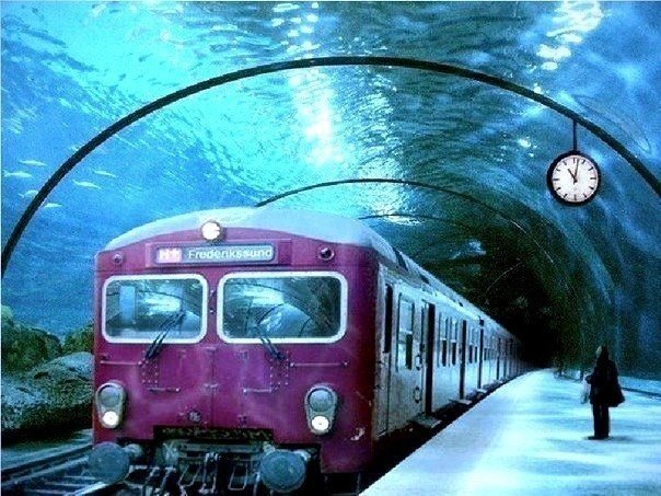 Картинки из сети (07.04.16)