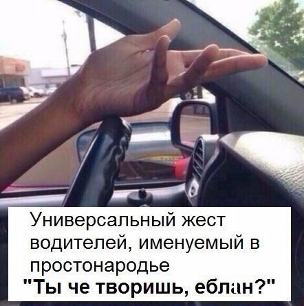 Подборка интересных и веселых фото