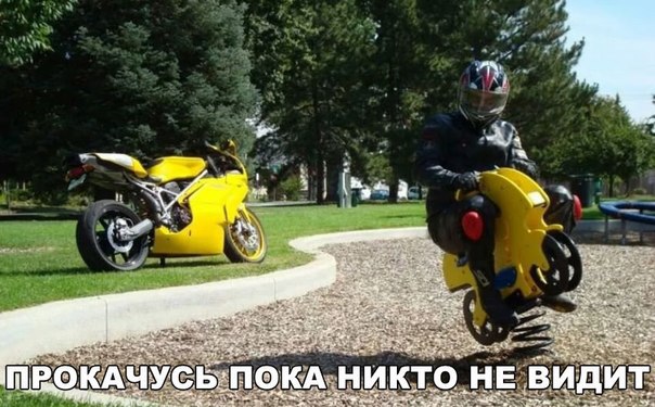 Ассорти картинок из сети