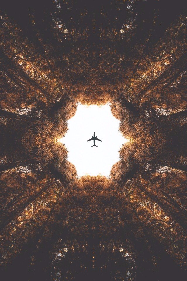 Подборка картинок