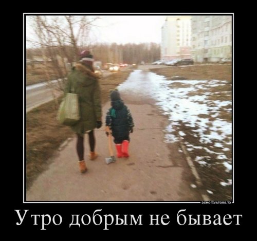 Порция картинок из сети