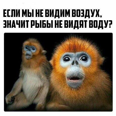 Приколы в стиле "регресс"