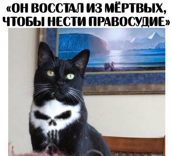 Картинки из интернетов