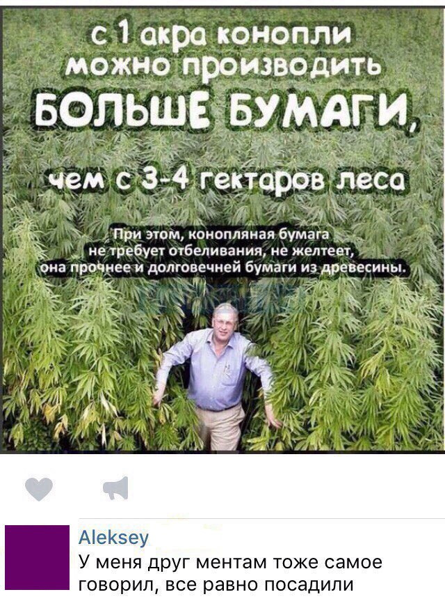 Просто картинки