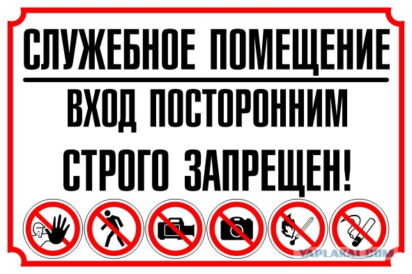 Девушка, которую сняли во время секса с коллегой: Я думала, ему одиноко