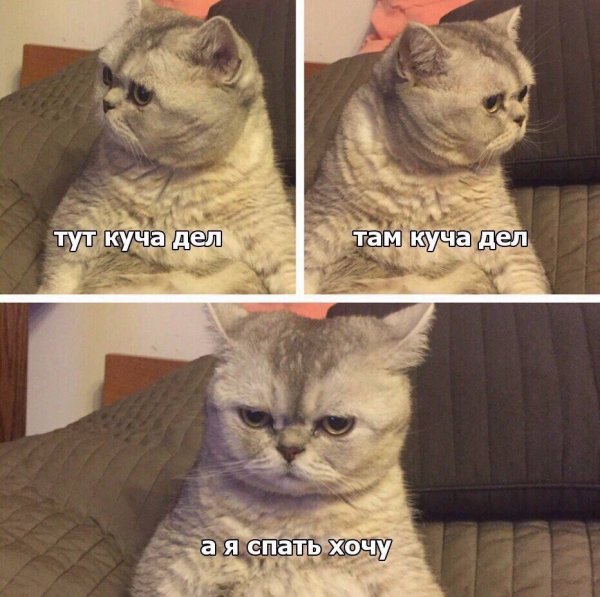 Итоги проверки пользователей