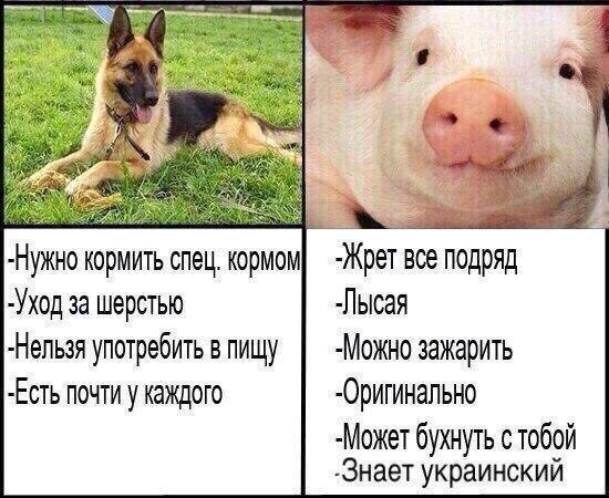 От работы тяжёлой не ной, пост с картинками для отдыха открой!