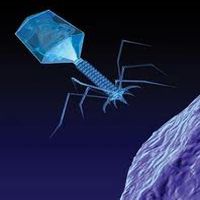 "Вояджер-2" официально вышел в межзвездную среду