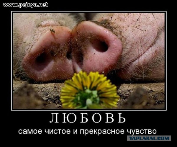 Страна "победивших" женщин или Почему в России презирают феминизм?