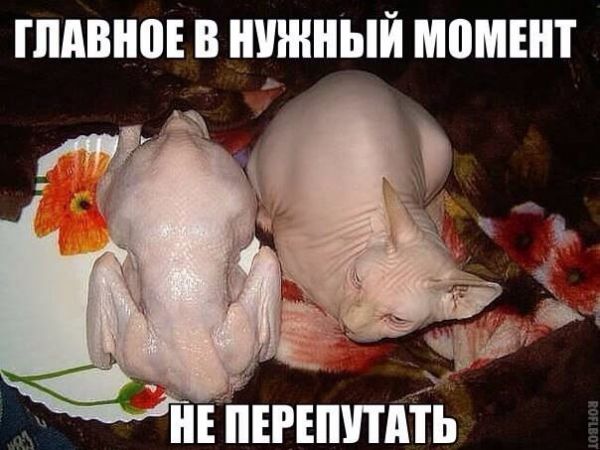 Здравствуй, чёрный понедельник