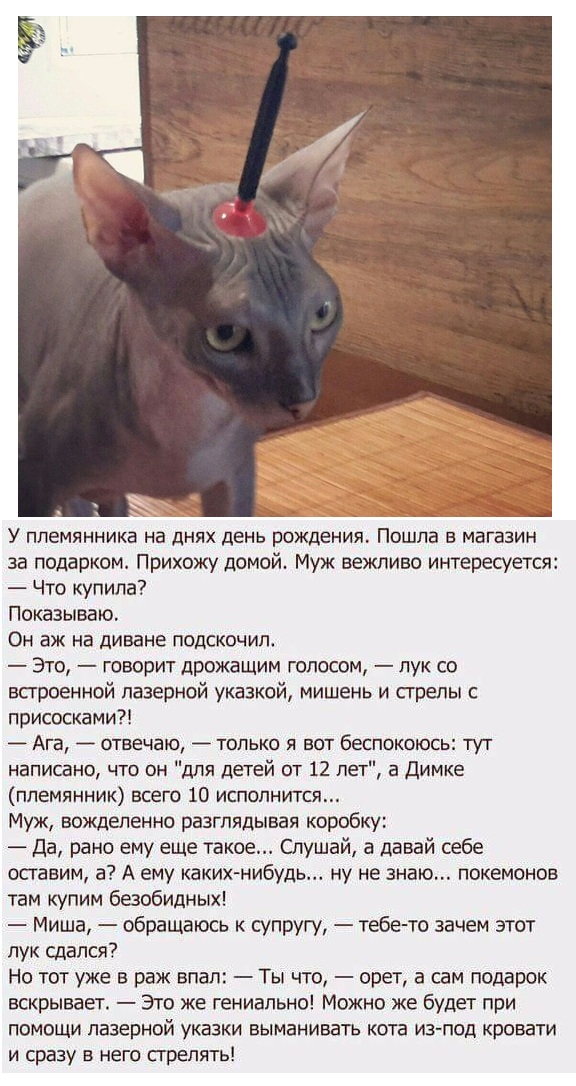 Чуток картинок 02.11.19