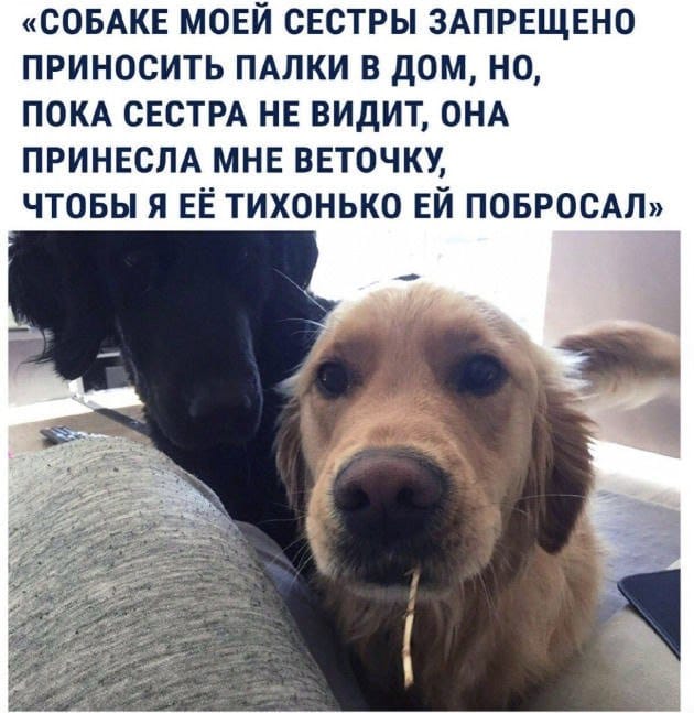 Немного картинок для настроения 24.01.20
