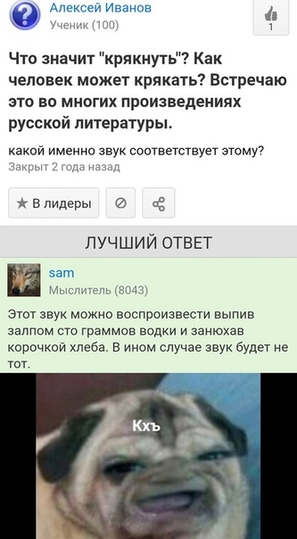 Алкопост! В картинках 15.02.20