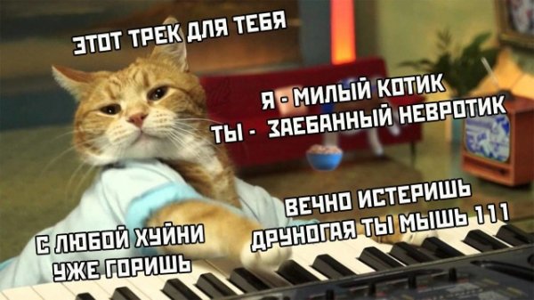 Немного картинок для настроения 18.07.20