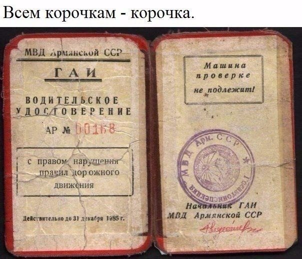 10 занятных фактов из истории водительских прав