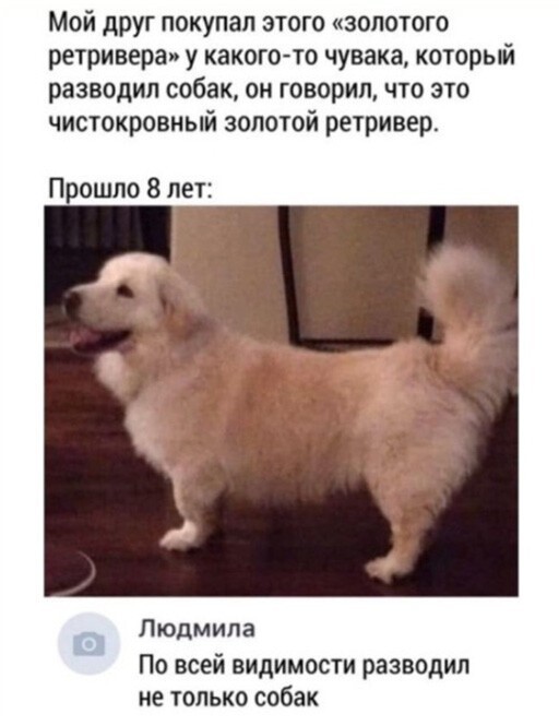 Баянисто-небаянистый юмор 03.02.21