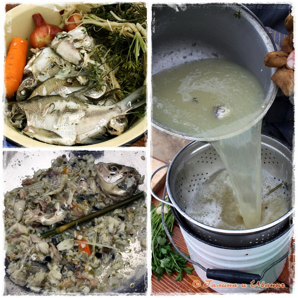 уха из рыбы. уха 3 буквы. строение наружного слухового прохода. схема строения внутреннего уха. схема строения наружного среднего и внутреннего уха.