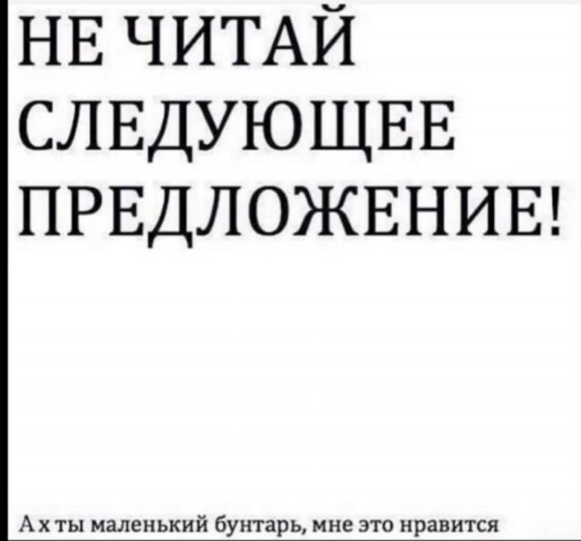 Картинки и мемы для настроения 28.07.2021