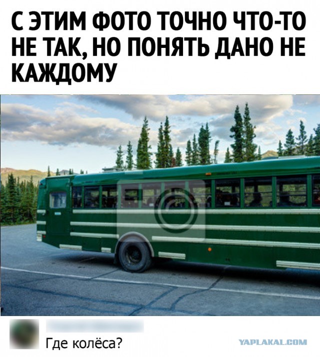 Так себе картинки 02.12.21