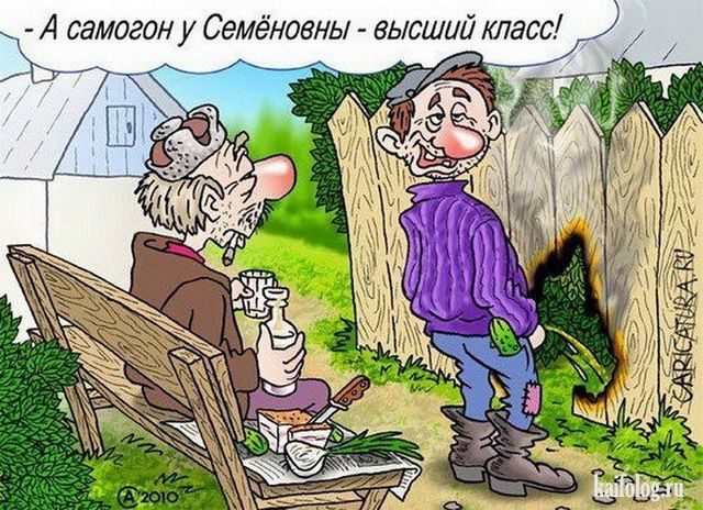 Алкопост 11.02.22
