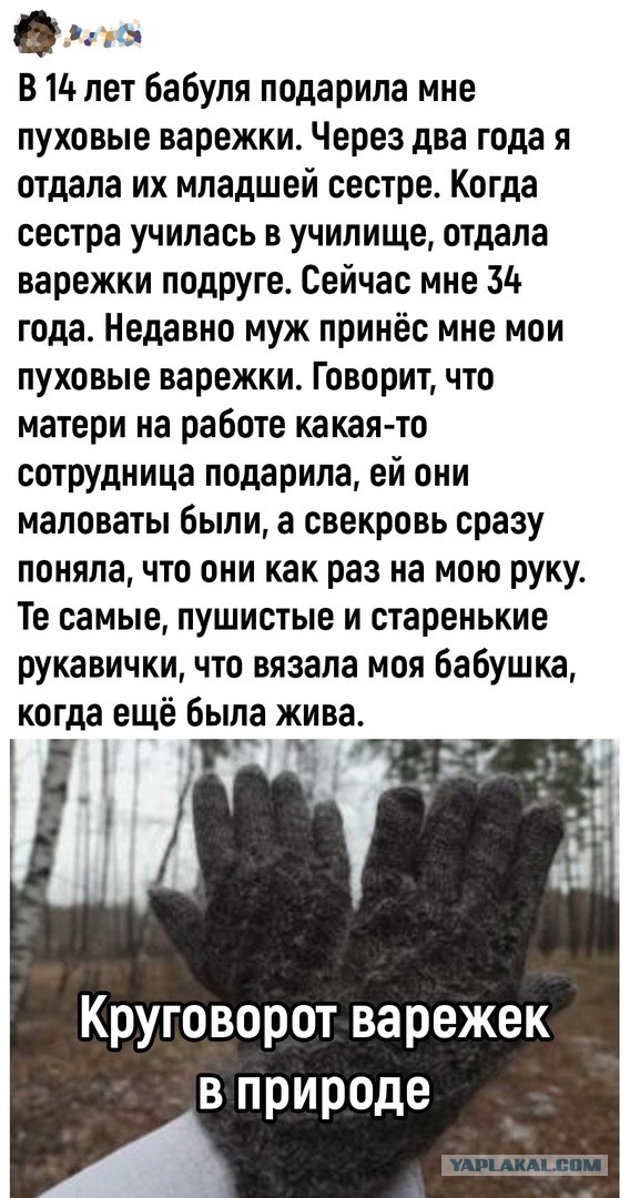 Так себе картинки 10.04.22