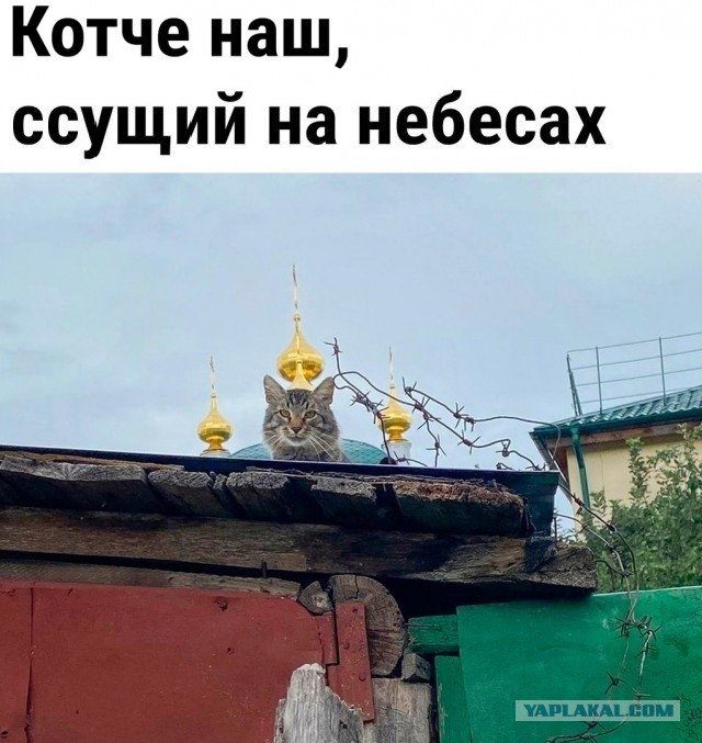 Так себе картинки 09.06.22