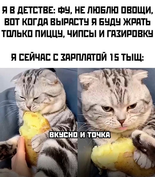 Весёлый полтишок 13.09.22