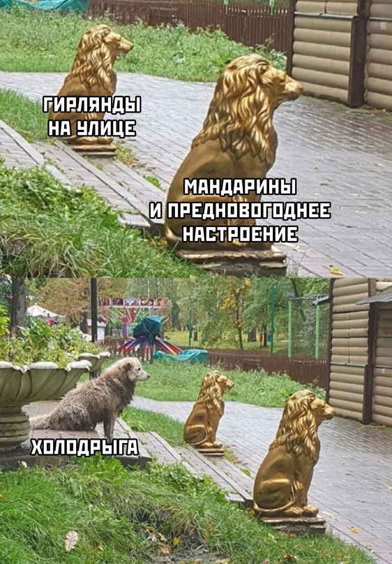 Немного картинок для настроения - 117