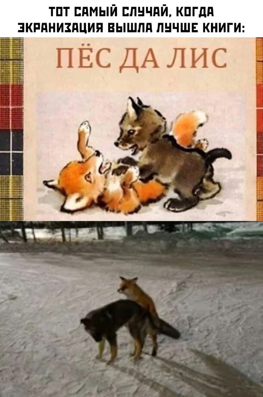 Весёлый полтишок 21.11.22