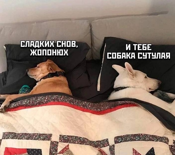 Народная меДИЧина 7016