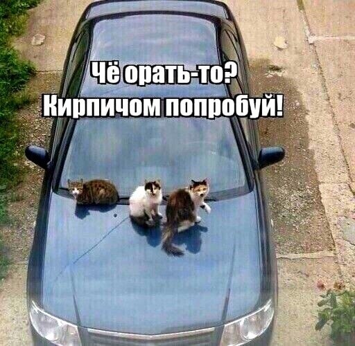 Всего понемногу. Часть 6.
