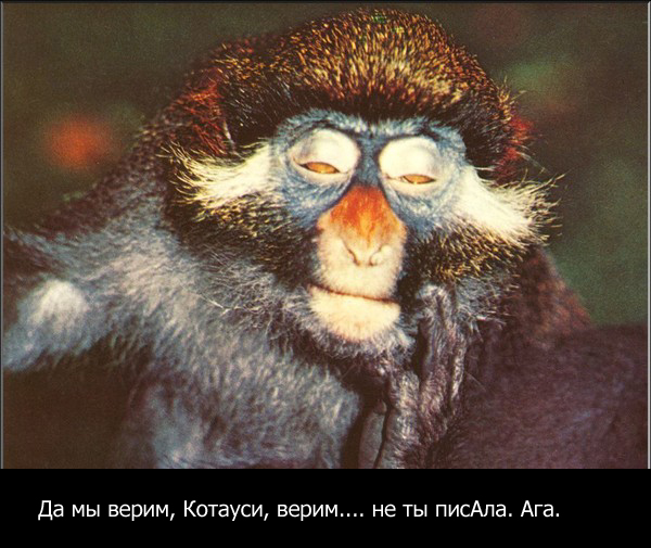 КОКС-1001.2