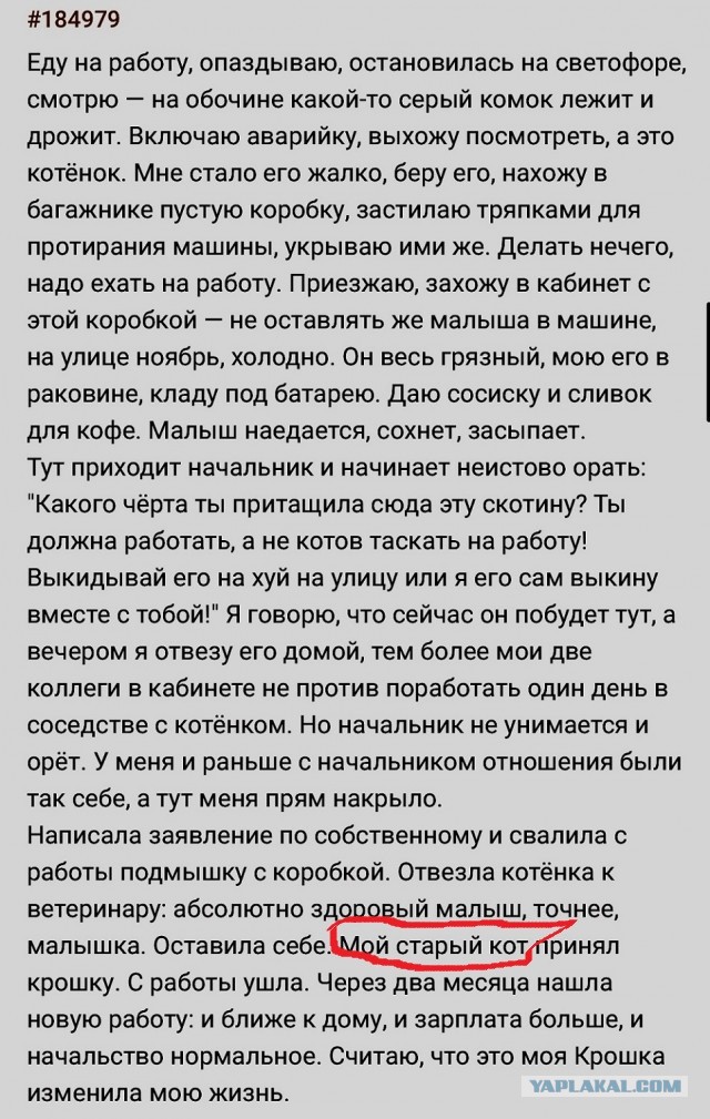 "А та контора развалилась!"