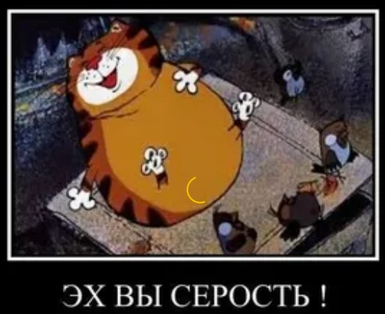Нуштош 11.06.2023