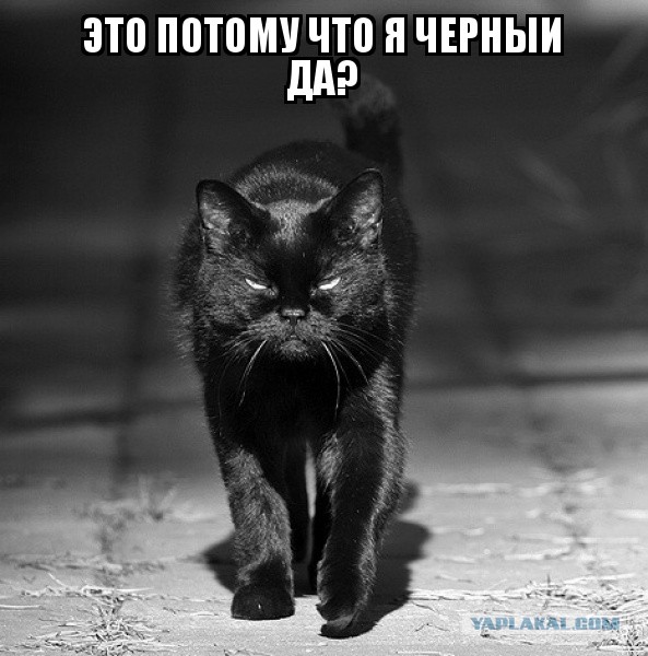 Одесситы обиделись на Пушкина