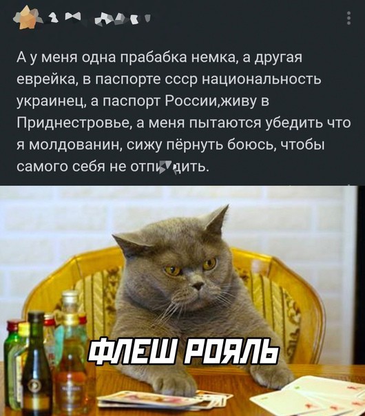 Баяны разной степени давности.